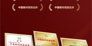 国字号双誉加冕！鹏鸿以生态板为基，多元产品矩阵领跑全国市场